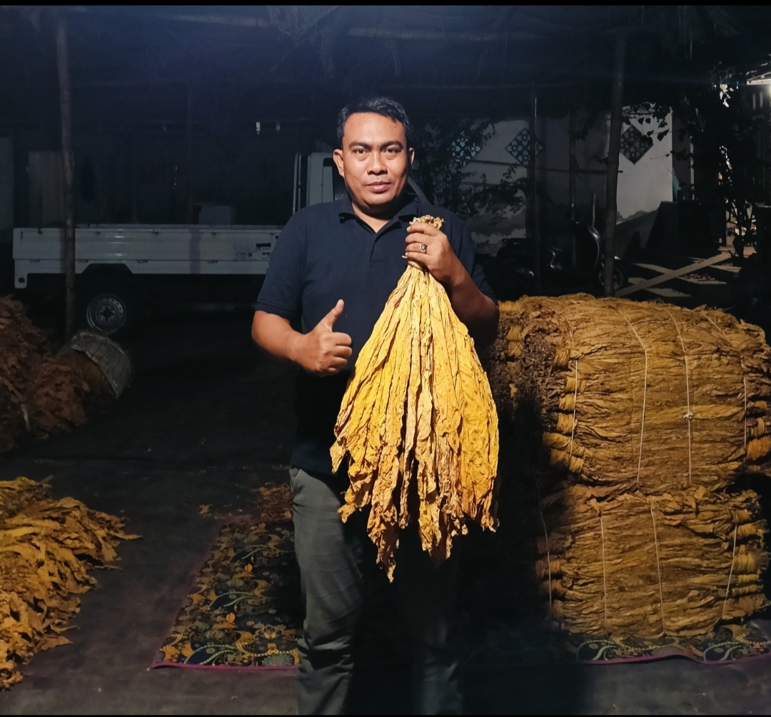 Petani Menyumbang DBHCHT, Mengapa Saat Panen Justru Dibiarkan Berjuang Sendiri?