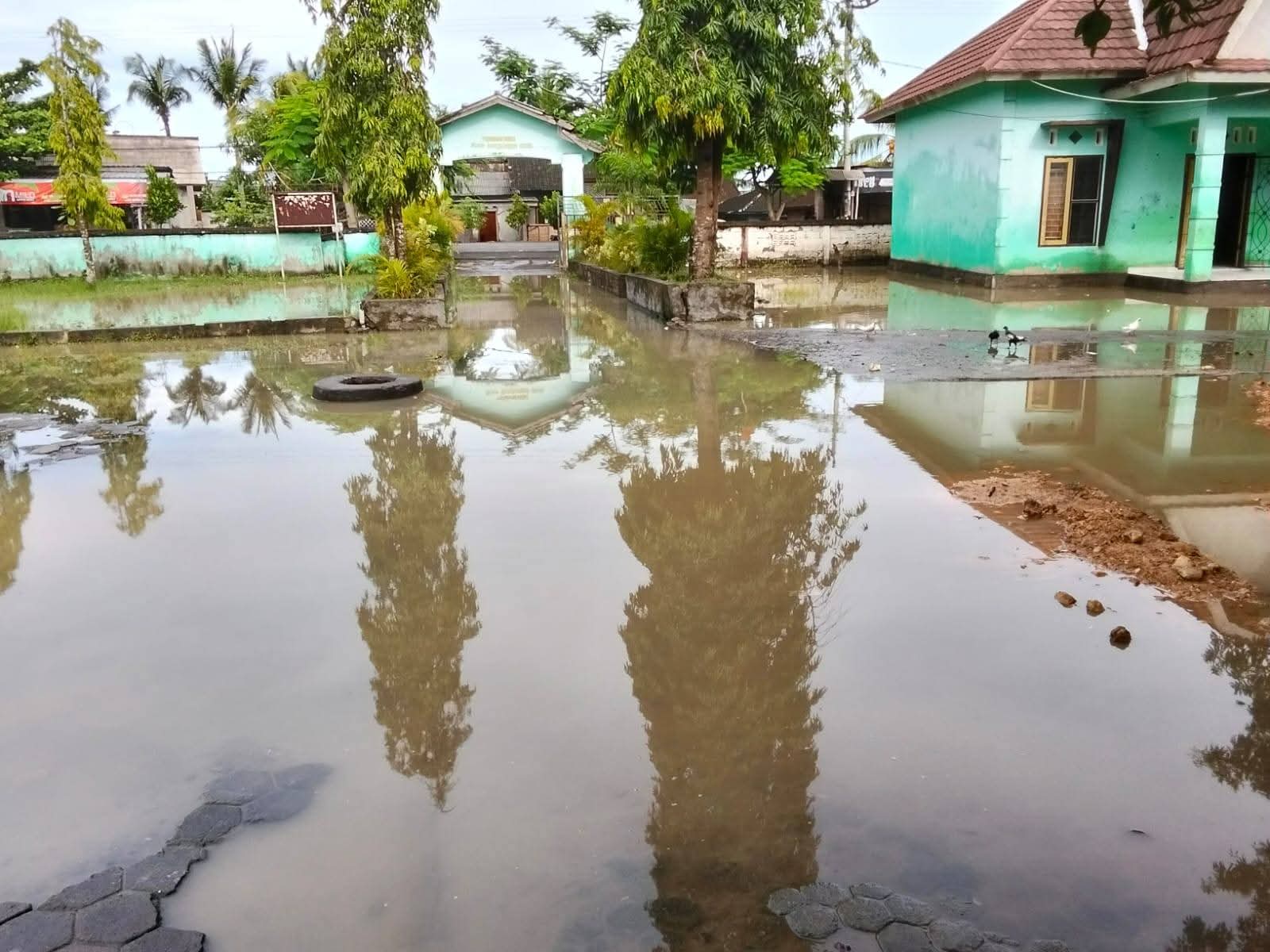 Sejumlah SD di Kecamatan Jerowaru Terendam Banjir Akibat Curah Hujan Tinggi