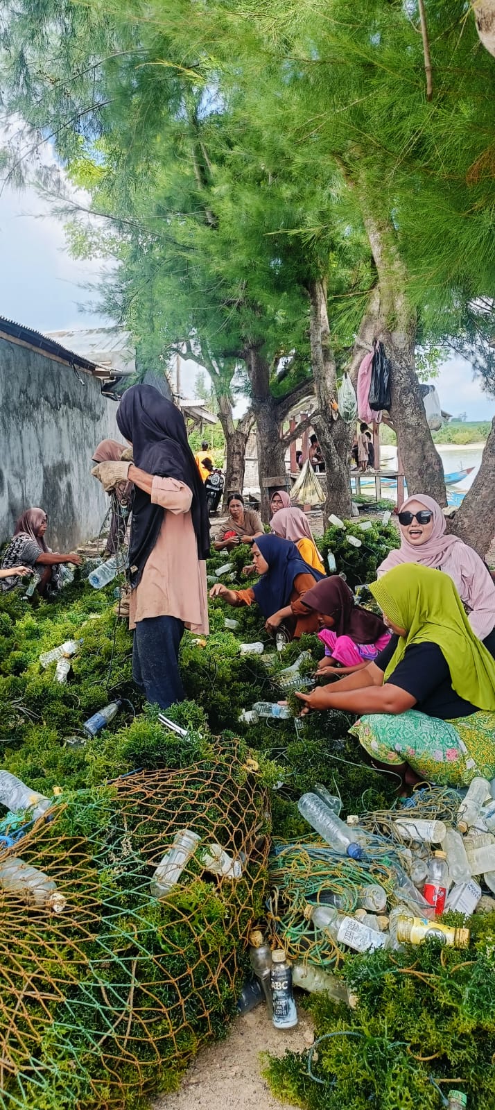 Dusun Serewe dan Rumput Laut, Denyut Kehidupan Pesisir yang Menanti Sentuhan Binaan Pemerintah