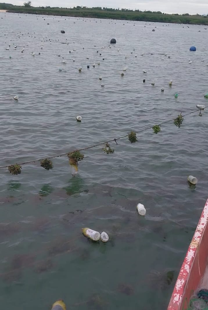 Polemik Bedah Embung Belum Usai, Petani Rumput Laut Seriwe Keluhkan Kerusakan
