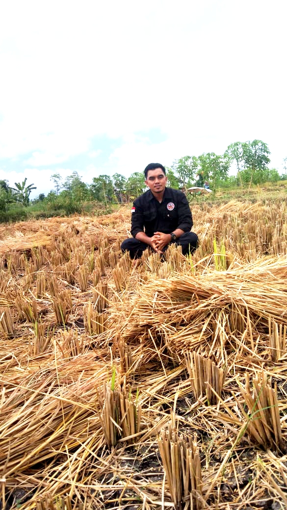 SEJUMLAH PETANI DI JEROWARU KELUHKAN PEMBAYARAN TEMBAKAU BELUM DITERIMA, PEMERINTAH DIMINTA TURUN TANGAN